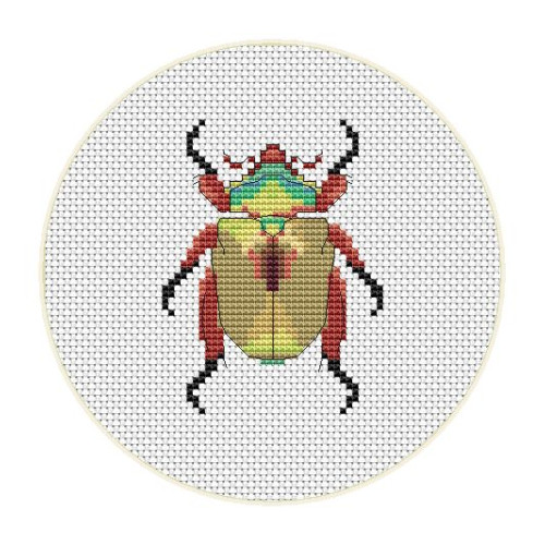 Insects